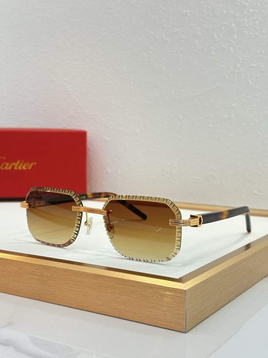 Picture of Cartier Sunglasses _SKUfw79280204fw